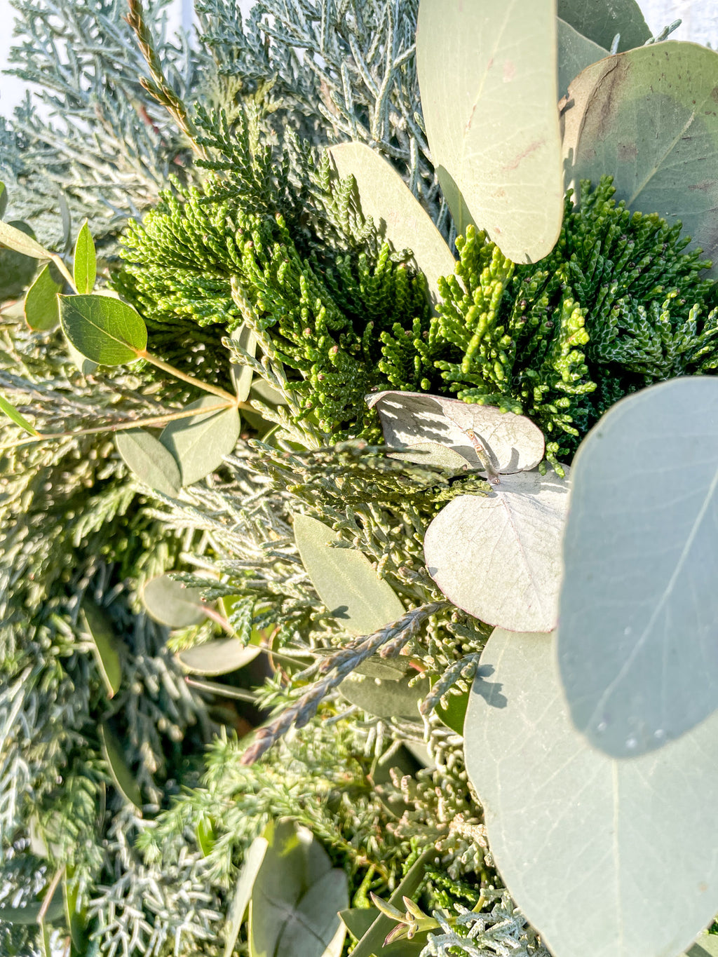 Winterkranz Winter Greenery, Nahaufnahme von Eukalyptus- und Koniferengrün, natürliche Struktur, winterliche Dekoration