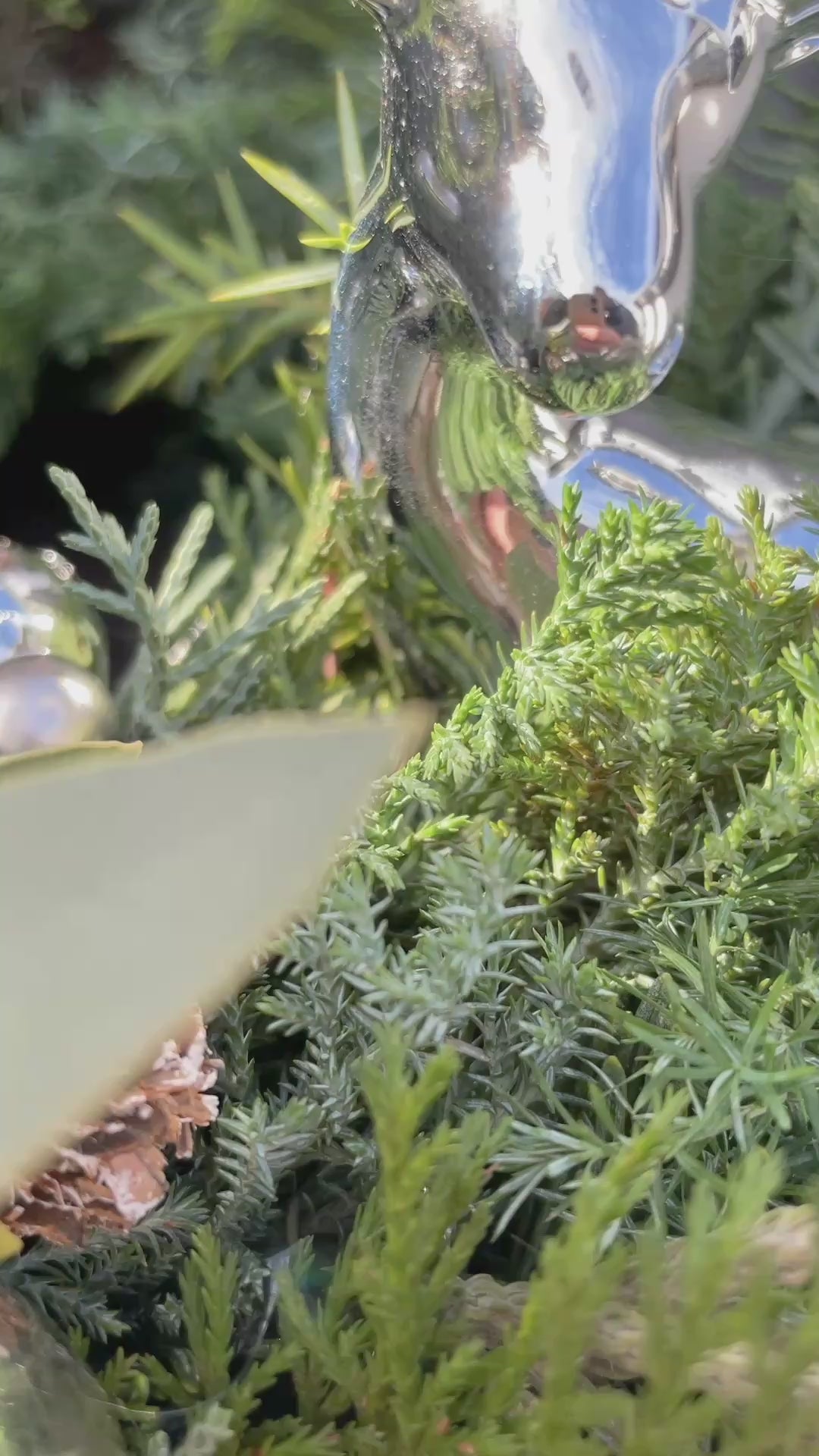 Video: Adventskranz »Schwarzglanz« mit anthrazitfarbenen Kerzen und Sukkulente