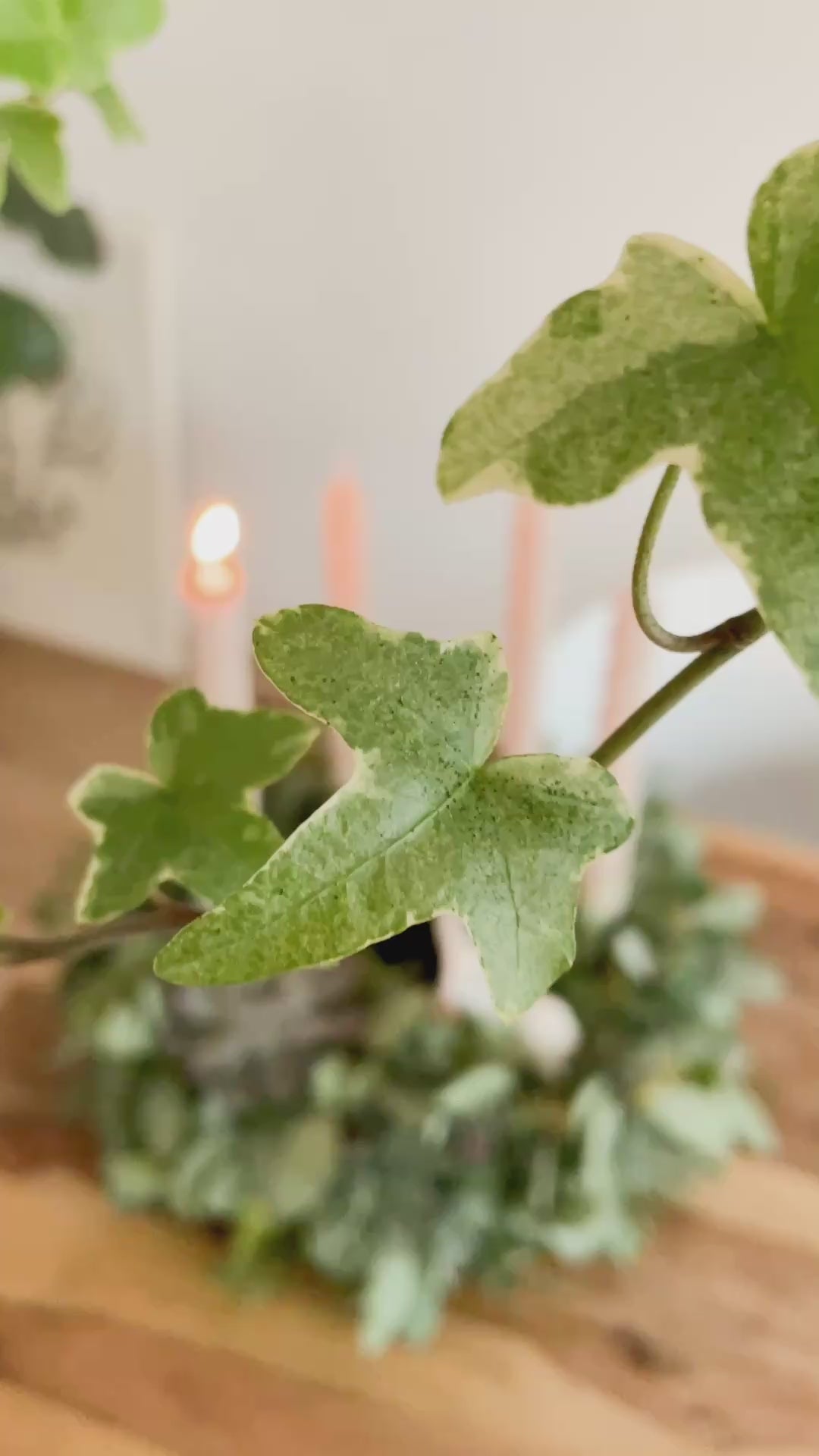 Video: Kamera fährt aus der Unschärfe auf den Adventskranz »Fjordgrün-Twist« mit brennender Kerze auf einem Holztisch zu