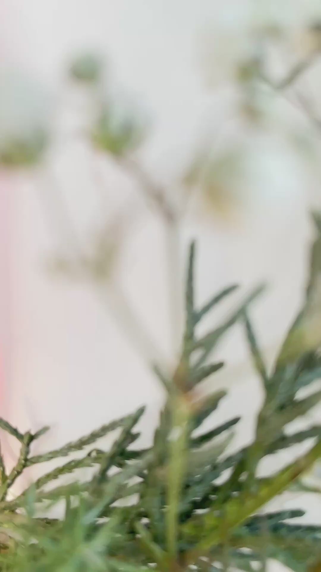 Video zeigt Geschenktüten mit winterlichem Mini-Kranz und Kerze, handgemacht