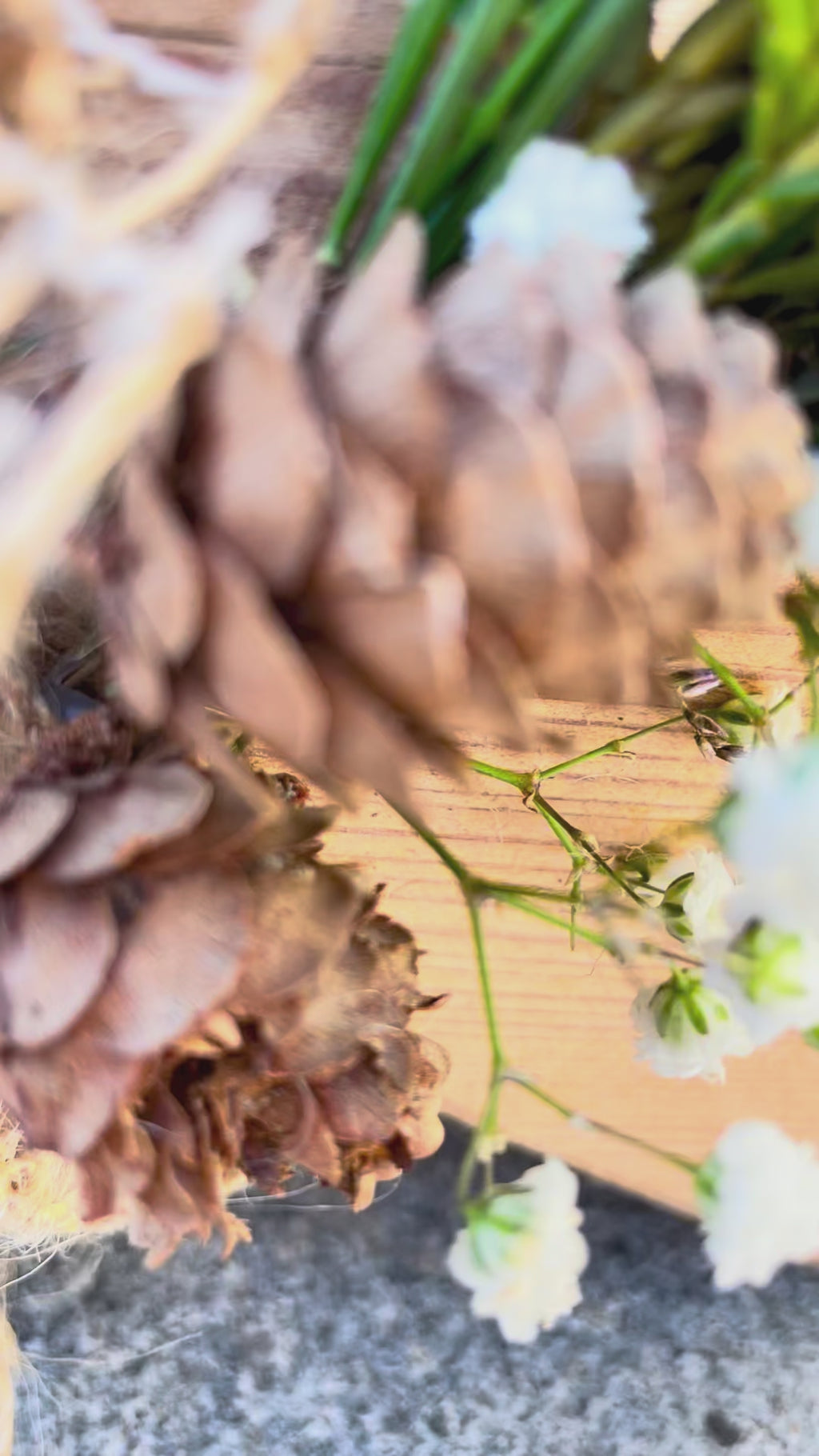 »Eichenstern Nordlicht« – natürliche Wärme für dein Zuhause