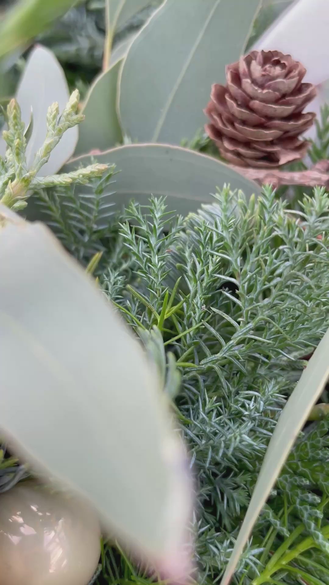 Adventskranz »Mintzauber« – Klassisch, schlicht & bezaubernd & Sukkulente | D=30cm