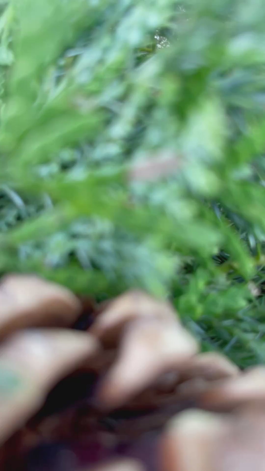 Adventskranz »Naturschimmer« – warm, natürlich & edel | versch. Größen