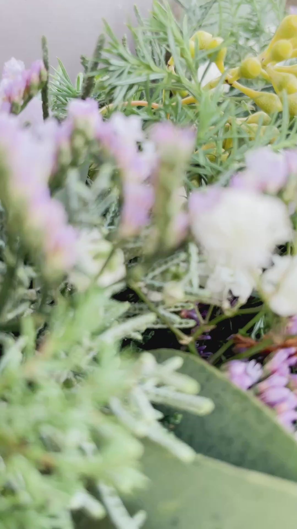 Video zeigt den Winterkranz ‚Purple Frost‘: Eukalyptus, Koniferengrün in Blautönen und lilafarbene Highlights aus Strandflieder, Statice und Limonium.