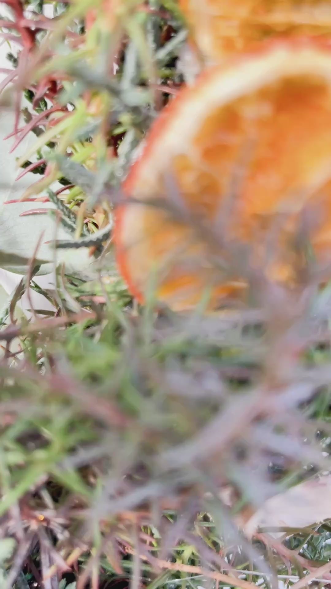 Video zeigt den Winter Loop ‚Nordic Glow‘ auf Metallring mit Eukalyptus und Koniferengrün in Blau- und Brauntönen. Detailaufnahmen von Orangenscheiben, Birkensternen, Lerchenzapfen und Dekokugeln sowie verschiedene Perspektiven als Tür- und Wanddekoration