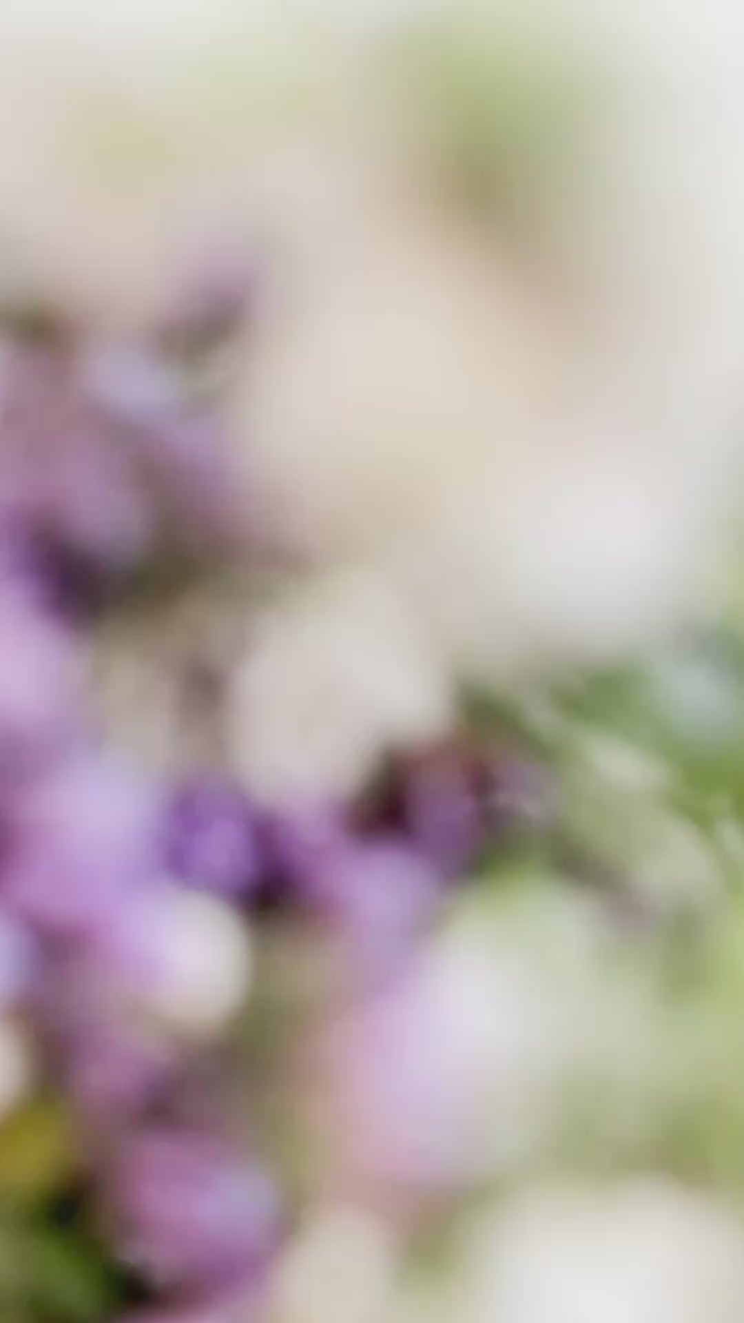 Video des Holzloops Winterzauber – handgefertigt, bestückt mit Koniferengrün, Eukalyptus und Strandflieder Lila, Ø 25–30 cm, winterliche Dekoration für Tür, Wand oder Fenster