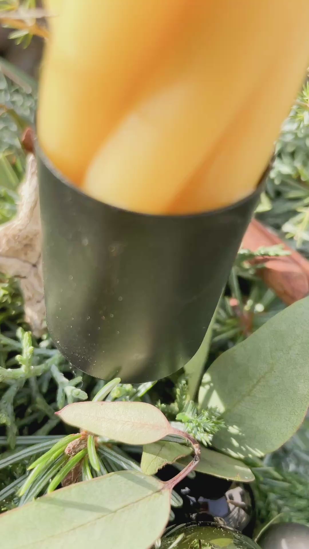 Video: Adventskranz »Honigzimt-Twist« mit gelben Stabkerzen, Orangenscheiben und Zimtstangen von allen Seiten