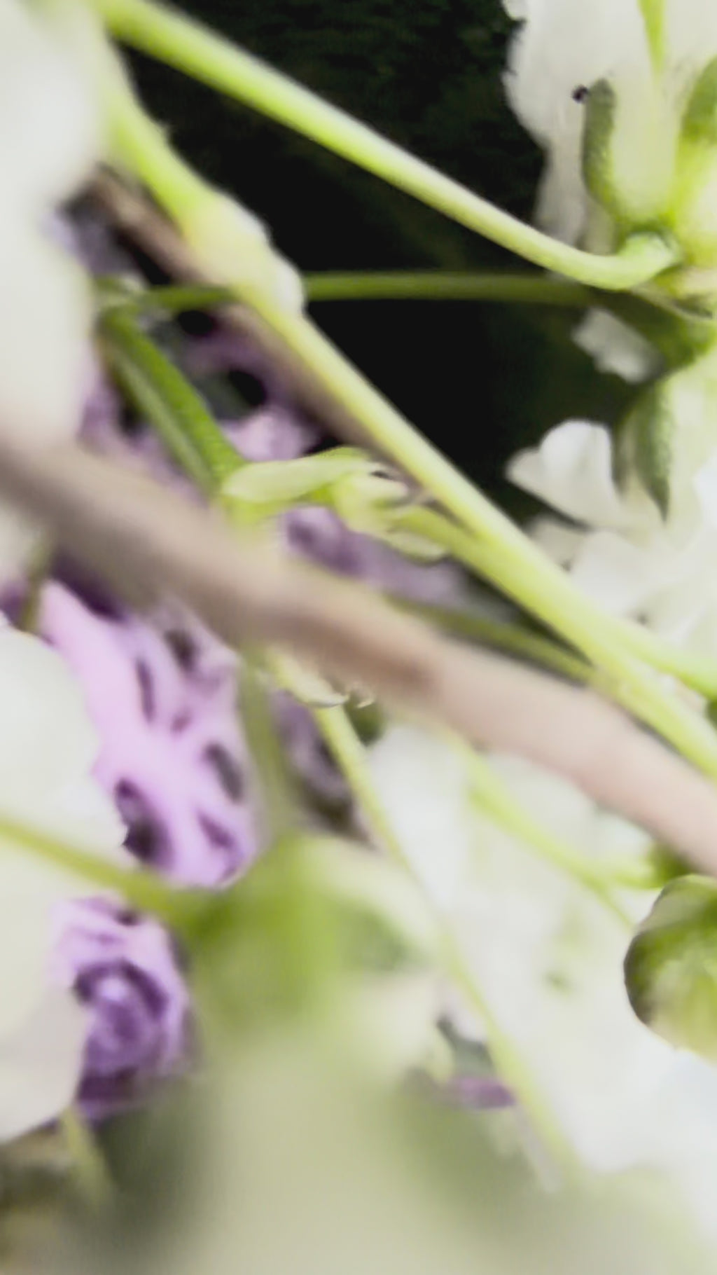 Video: 1/2 Loop »Vertical Lila Spring« – Metallring vertikal links gebunden mit Eukalyptus, lila Strandflieder, Limonium, Islandmoos, weißem Schleierkraut und farblich passenden Satinbändern, frühlingshafte Dekoration für Wand oder Türe