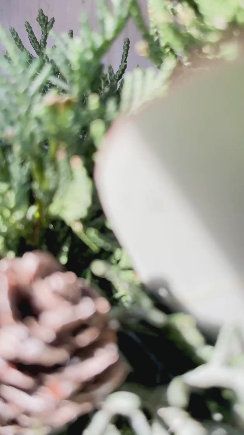 Video zeigt den Winterkranz ‚Frosty Village‘ in voller Ansicht: Tannen- und Koniferengrün, Eukalyptus und kleine weiße Resin-Häuser in Dorfoptik. Der Kranz wird von allen Seiten gezeigt, inklusive Detailaufnahmen der Häuser und des Materials, ideal als Tür-, Tisch- oder Wanddekoration für minimalistischen Winterzauber.