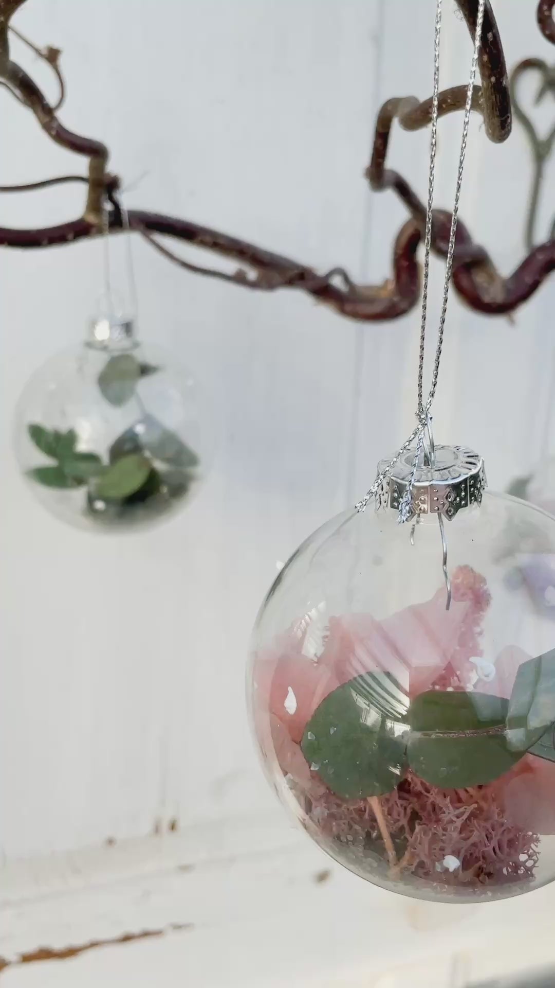 Video zeigt die Glaskugeln ‚Blütenzauber‘: transparent mit weißen Farbtupfen, gefüllt mit konserviertem Islandmoos, Eukalyptus, Hortensien in Rosa, Lila, Weiß oder Eukalyptus-Grün, ergänzt mit Glitterstaub. Perspektiven inklusive Detailaufnahmen und Aufhängung für Baum, Fenster oder Regale.