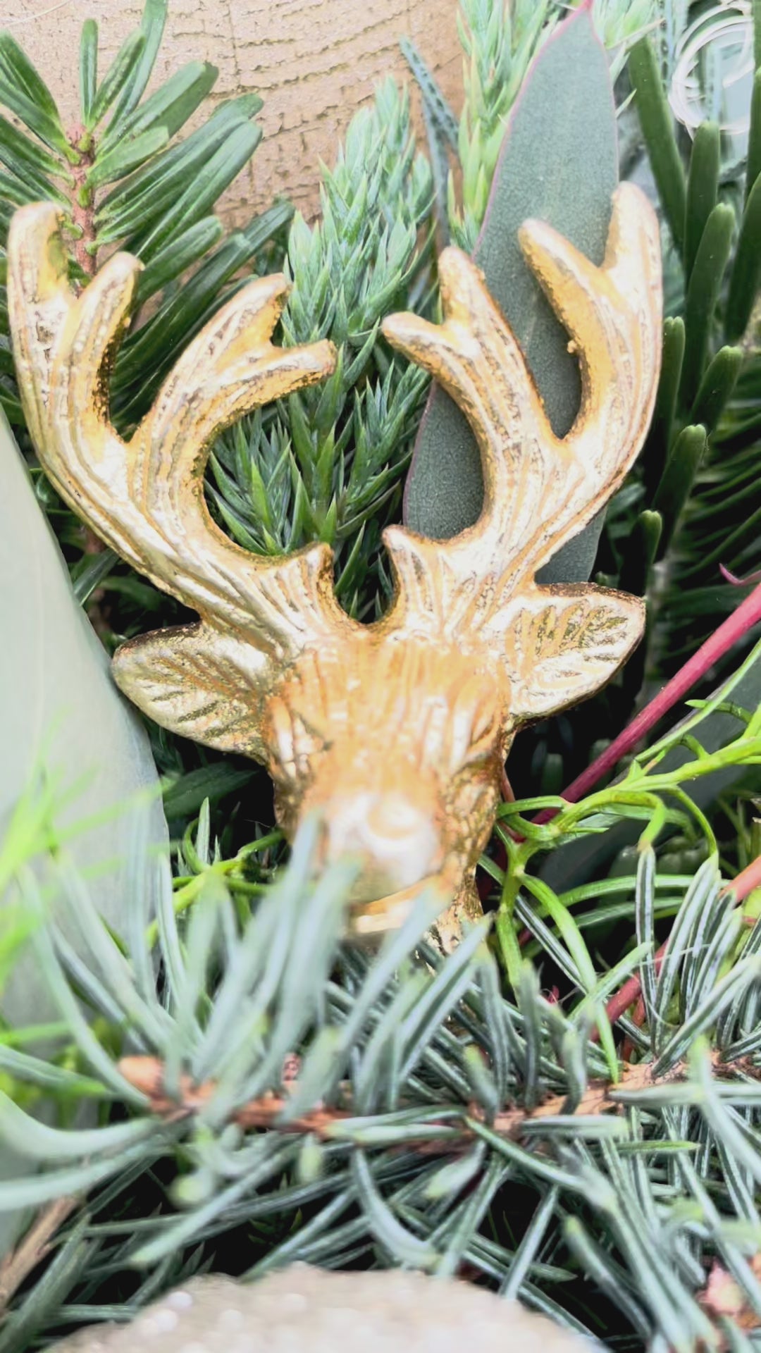 Adventskranz »Wintergold« – Weiß trifft Eleganz in Gold | versch. Größen