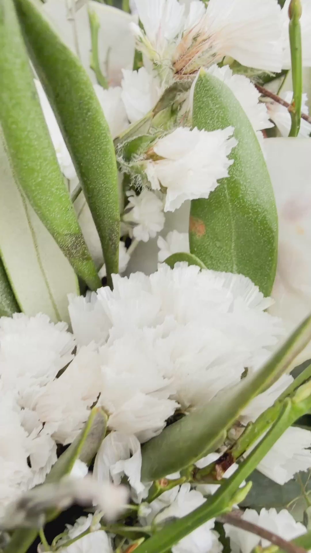 Video zeigt Frühjahrskranz »White Meadow« aus verschiedenen Perspektiven