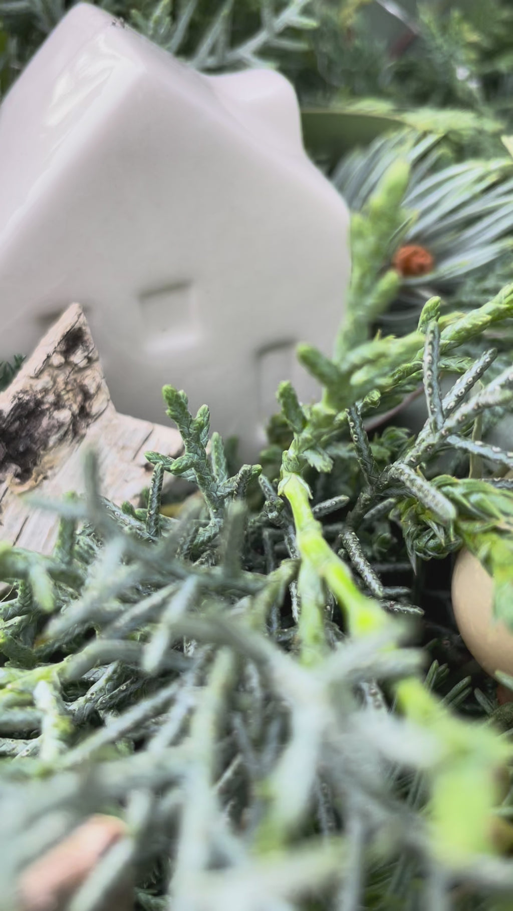 Adventskranz »Winterzauber-Twist« – gedrehte Stabkerzen & Sukkulente | versch. Größen